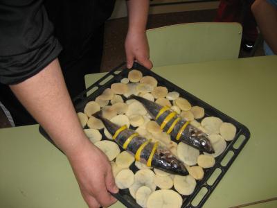 APOYO DOMICILIARIO!!